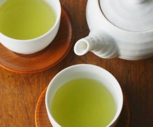 Bạch trà cổ thụ: Bản giao hưởng của sương và nắng